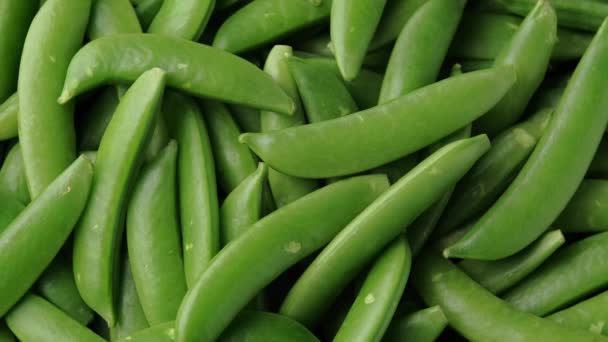 Raw Organic Green Sugar Snap Peas 의 약자입니다. 회전하는 비디오 — 비디오