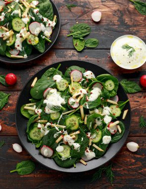 Ispanaklı, dereotlu ve yoğurtlu taze turplu elma salatası. Sağlıklı yemek.
