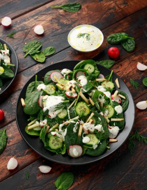 Ispanaklı, dereotlu ve yoğurtlu taze turplu elma salatası. Sağlıklı yemek.