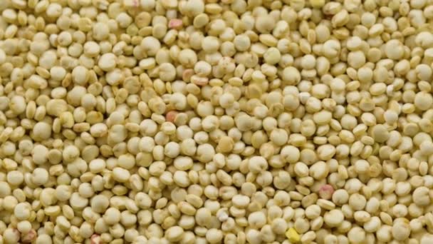 Råa superfood quinoa frön, roterande makro skott — Stockvideo