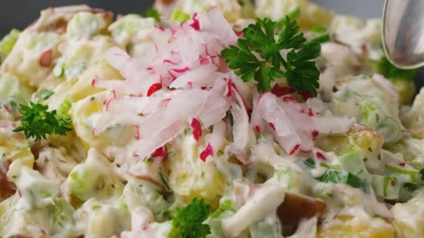 Jíst bramborový salát s celerem, zelenou cibulí, ředkvičkou, koprem a vejci — Stock video