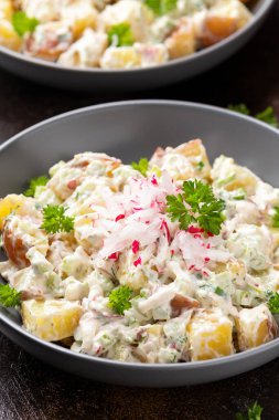 Kerevizli patates salatası, yeşil soğan, turp, dereotu ve yumurta.