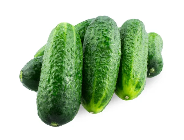 Fresh cucumbers on white — Stock Photo, Image