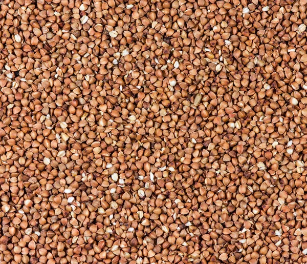 Fondo di grano saraceno — Foto Stock