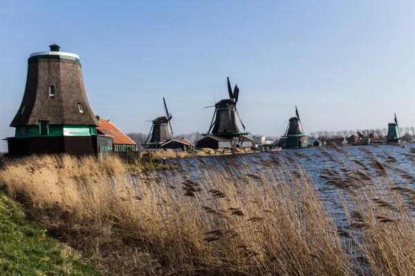 Molinos de viento holandeses con canal cerca de Ámsterdam, Países Bajos — Foto de Stock