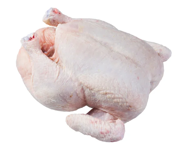 Farm Fresh whole  Chicken isolated on  white background — Stock Photo, Image