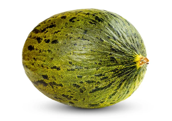Jeden świeży cały Piel de sapo melon na białym tle — Zdjęcie stockowe