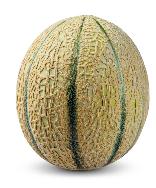 Kantaloupe melon frukt isolerad på vit bakgrund — Stockfoto