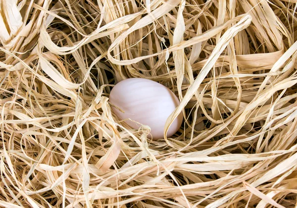 Fresh Duck white organic egg on straw. — Stockfoto