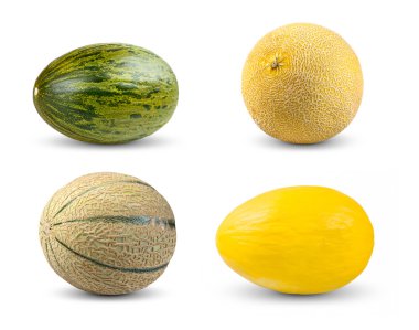 Set Collection of Melon. Cantaloupe, Galia,  Piel de sapo and Honeydew. Isolated on white background. clipart