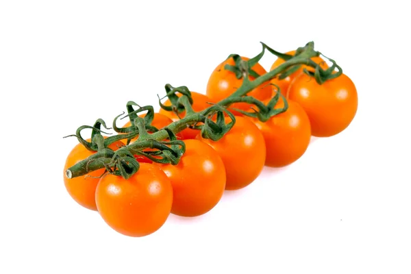 Čerstvé žluté miminko švestková rajčata, na větvi. izolované na bílém pozadí. — Stock fotografie