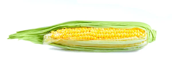 Fresh Ripe Sweetcorn isolated on white background — Stock Photo, Image