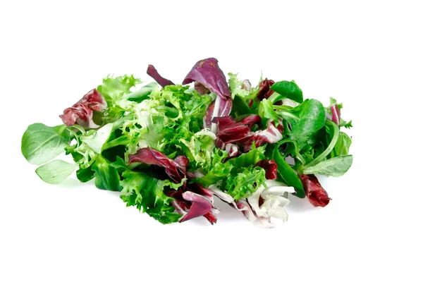 Karışık salata frisee, radicchio ve kuzu 's marul yaprakları. Beyaz arka plan üzerinde izole — Stok fotoğraf