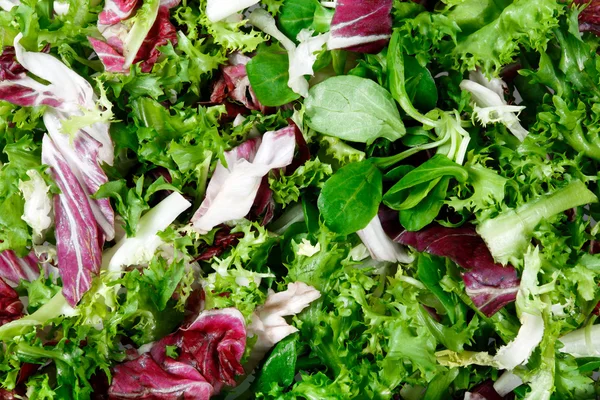 Gemischte Salatblätter Frisee, Radicchio und Feldsalat. Hintergrund, Textur — Stockfoto