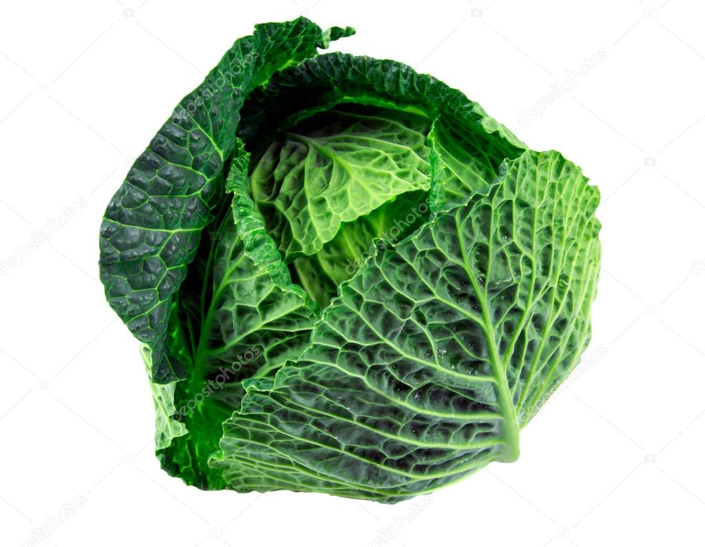 Fresh  Green cabbage isolated on white