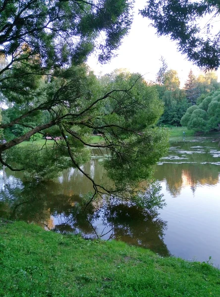 Yaz peyzaj havuz Parkı