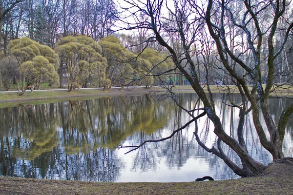 Park in the spring — Stock Photo, Image