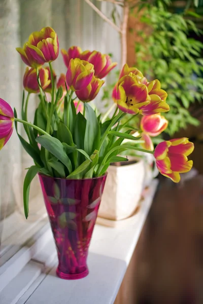 Red tulips in the vase — Stock Photo, Image