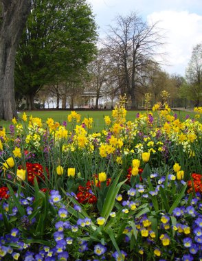 Mavi, sarı ve kırmızı çiçeklerle çok parlak ve canlı bir çiçek tarhı.