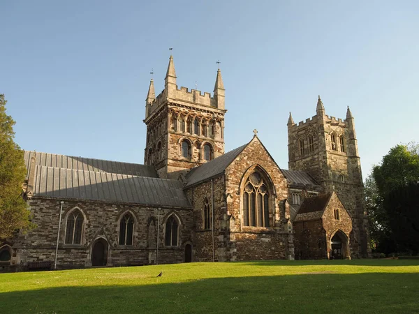 Retrato de Wimborne Minster em Dorset, Inglaterra, Uk em luz quente da noite — Fotografia de Stock