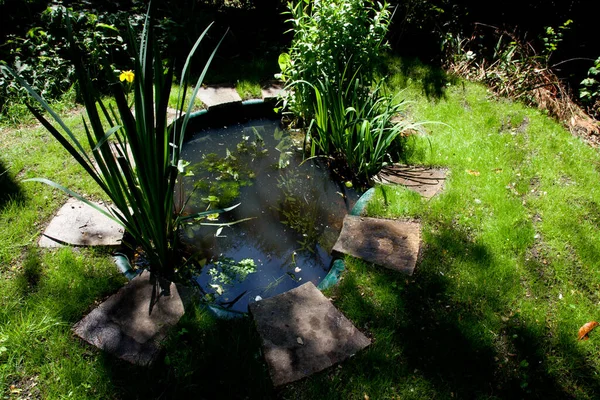 Маленький нещодавно встановлений садовий ставок зі свіжою посадкою — стокове фото