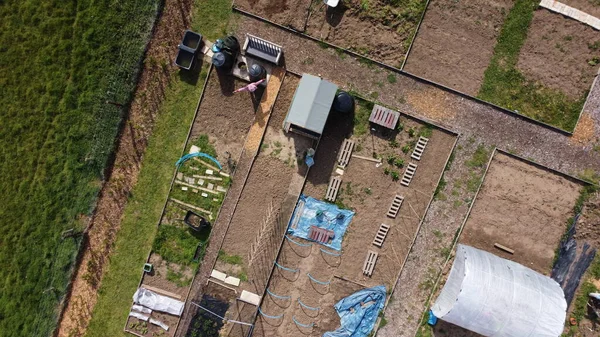 An aerial view of some allotments surrounded by fields — Stock Photo, Image