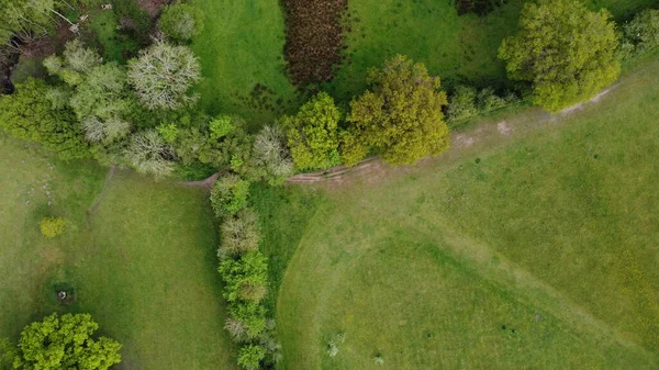 Una vista aérea que mira directamente desde arriba de los campos verdes y setos — Foto de Stock