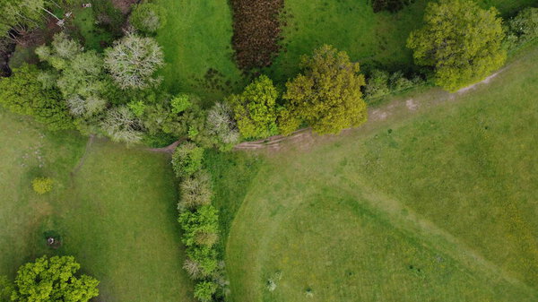A drone view flying above lovely fresh green countryside looking directly down oak tree field and some hedges