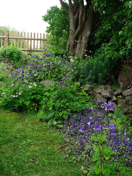 Malá krásná zahrada s převahou modrých a fialových květů — Stock fotografie