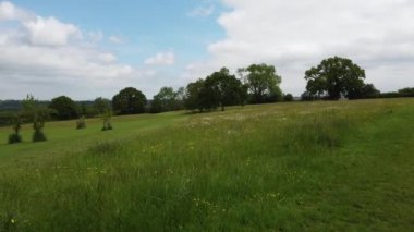 Bir böceğin gözü yaz otlağında uçarken İHA 'nın çektiği görüntüler.