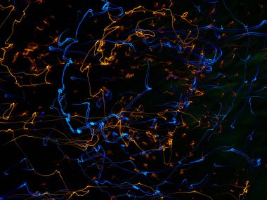 Işık izlerinin ve girdapların soyut bir arkaplanı