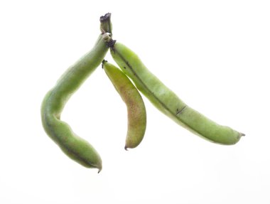 Beyaz bir arkaplana karşı bazı ev yapımı geniş fasulye kabuklarının yakın çekimi.