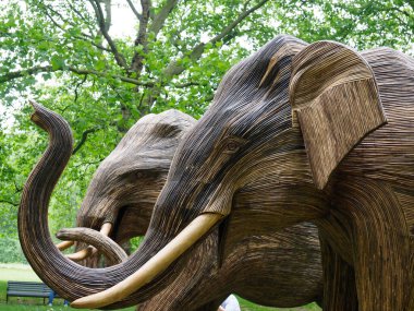 İki fil heykelinin kafalarının ve gövdelerinin yakın çekimi.