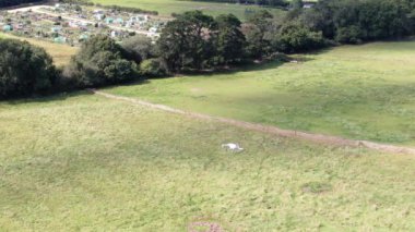 Yukarıdan gelen başka bir İHA 'nın hava görüntüsü.