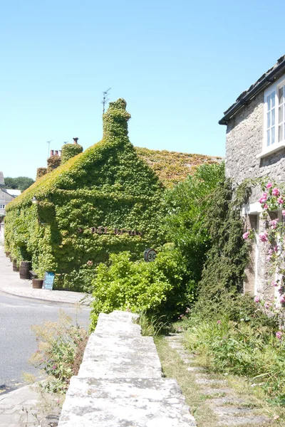 O pub Scott Arms em Kingston, no Purbeck, cresceu demais na Virginia. — Fotografia de Stock