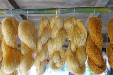 colorful raw silk thread     clipart