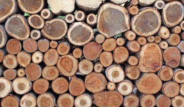 arka plan olarak güdük yığını