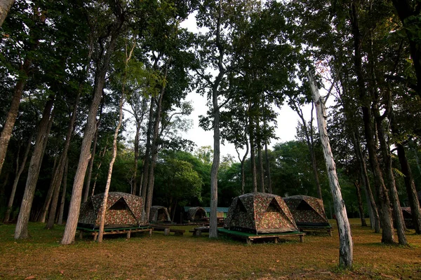 自然を背景に屋外キャンプ場にテントを張って — ストック写真