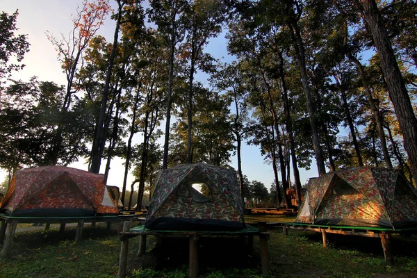 自然を背景に屋外キャンプ場にテントを張って — ストック写真