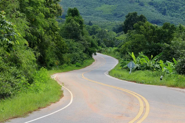 Kurven Straße Der Landschaft Mit Tropischen Grünen Wald Stockbild