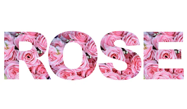 Ordet rose — Stockfoto