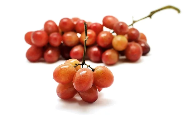 Fruta de uva — Foto de Stock