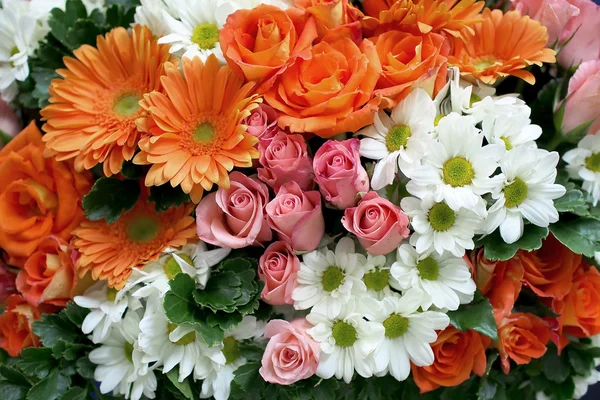 Růže gerbera sedmikrásky chryzantéma — Stock fotografie