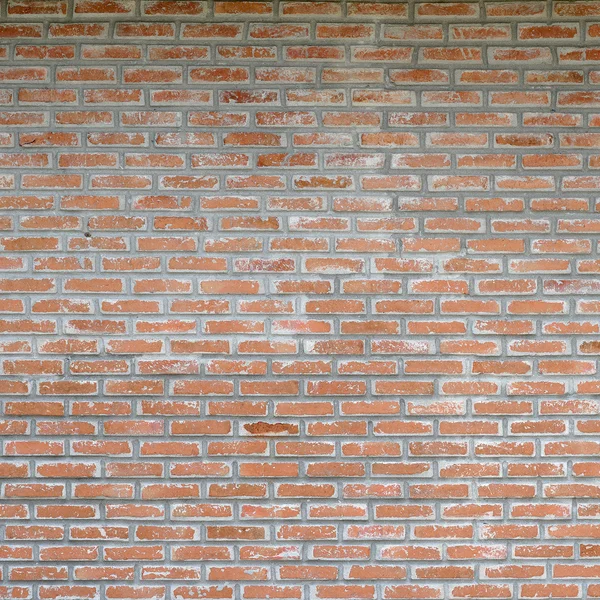 Brick wall as background — Stock Photo, Image