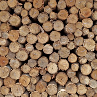 arka plan olarak güdük yığını