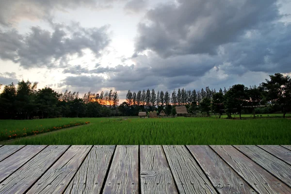 Houten vloer met paddy veld achtergrond — Stockfoto