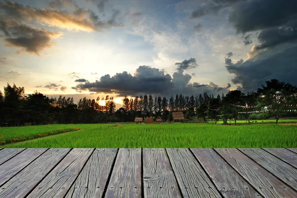 Drewniane podłogi z tła pola ryżowego — Zdjęcie stockowe