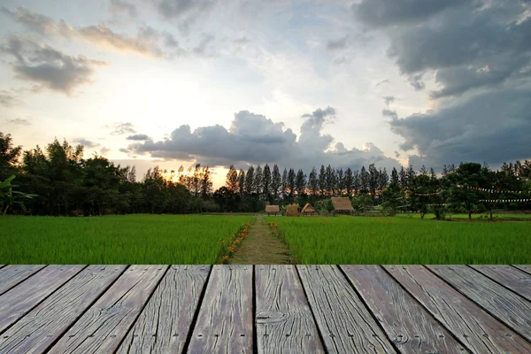 Wooden floor with paddy field background — Stock Photo, Image
