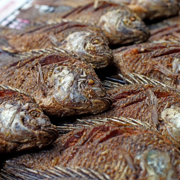 Tilápia do nilo frita ou peixe oreochromis nilotica — Fotografia de Stock