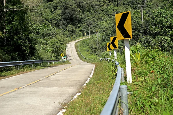 Camino pacífico a través de un bosque — Foto de Stock